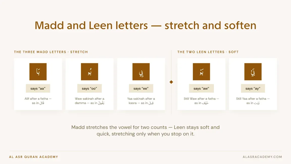 Madd & Leen in Arabic