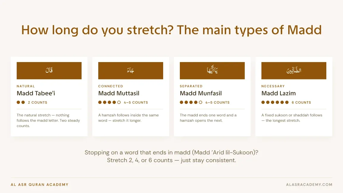 Main types of Madd