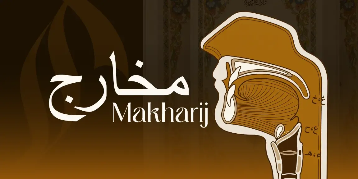 Makharij: Where Arabic Letter Sounds Are Produced