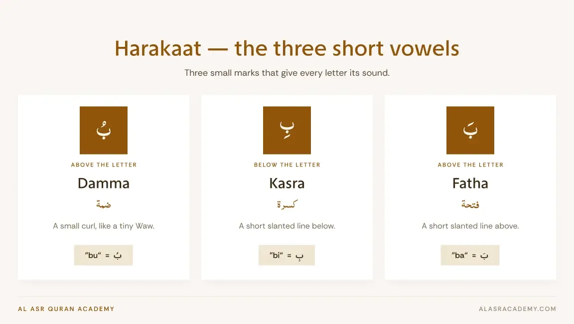 short vowels in harakaat